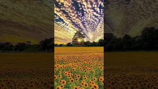 منظر طبيعي للتصميم القران الكريم كرومات القرآن والادعية جاهزة للتصميم ينبض بحب الله 