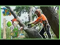 Tree Climbers Cut Down BIG TREE Job Jams Saws Cranes Skid Steers and Trucks