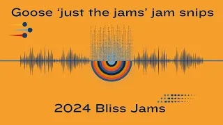 Goose 'just the jams' jam snips - Goose 2024 Bliss Jams
