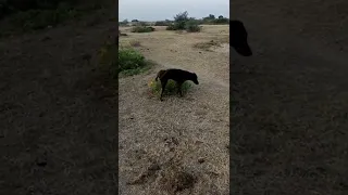 Fany Shorts Youtubeshort Featured In This Video 