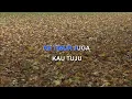 Download Lagu MUSAFIR PANBERS Indonesian Malay Karaoke
