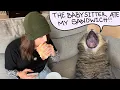 Oh boy Penny roasts me and the babysitter eats her sandwich