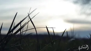 ربنا لا تؤاخذنا إن نسينا أو أخطأنا المنشاوي رحمه الله 