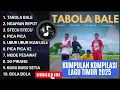 Lagu Kumpulan Kompilasi Lagu Timur 2025 | Tabola Bale Viral TikTok | Ngapain Repot | stecu stecu Viral!