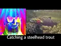 Best Fish to Catch Mr Incredible becoming canny meme