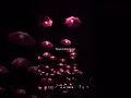 Download Lagu Shake it to The Max(FLY) - Molly, Silent Addy || #popular #songlyrics #lyrics #aesthetic #music