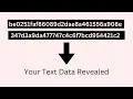 how to build a python hash cracker tutorial