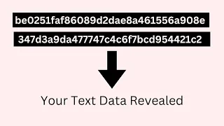 how to build a python hash cracker tutorial