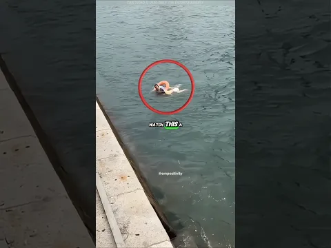 She was drowning 😱 Then Hero Woman Did THIS! ❤️ #shorts #viral