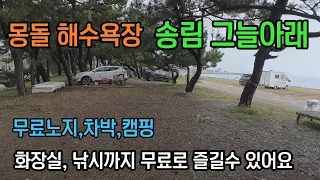 캠핑, 낚시를 무료로 즐길수 있는 몽돌해수욕장 //화장실있고 소나무 그늘아래에서 캠핑할수 있어요 썸네일