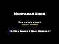 Download Lagu Mentahan Lirik DJ Hey Cowok X Mari Mendekat