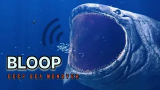 The BLOOP Sound A Mysterious Sound Ever Recorded In The Deep Ocean Deepseacreatures 