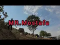 Mostafa gathered firewood for the winter!🪵🔥 The cementing work on the cabin,