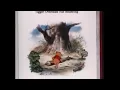 Download Lagu Opening \u0026 Closing to Winnie the Pooh and Tigger Too (1986) VHS - Reversed!