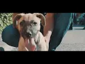 Velet - Uyan Feat. Canbay & Wolker (Official Video) | SeKo Prod.