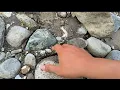 Download Lagu Batu hijau ini terjepit diantara batu lain.tembus dan nempel magnet ternyata