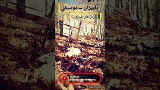 پاییزان شوق عبور یاران موسیقی فیلم 