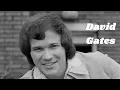 Download Lagu David Gates - Take Me Now (1981) [HQ]