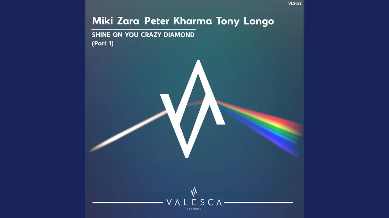 Shine On You Crazy Diamond (Miki Zara Mix)