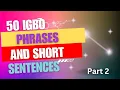 Download Lagu 50 Phrases and Short Sentences in  #Igbo Language/@The Igbo Teacher