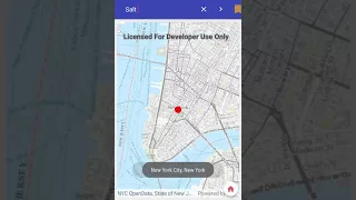 ArcGIS Functional MapView