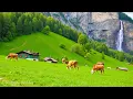 Download Lagu Muziektherapie 🌿Verzacht het zenuwstelsel en verfrist de ziel, ontspannend