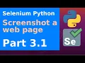 Selenium Python - Automate a screenshot of a web page