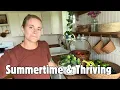 Thriving cows a overflowing garden farm life in the late summertime