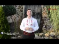 Download Lagu Fane Banateanu si Petrica Nicoara - La ciresul de la dunga 2015