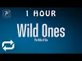 Download Lagu [1 HOUR 🕐 ] Flo Rida - Wild Ones (Lyrics) ft Sia