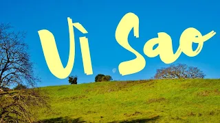 Vì sao