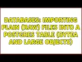 Databases Importing plain raw files into a postgres table bytea and large objects