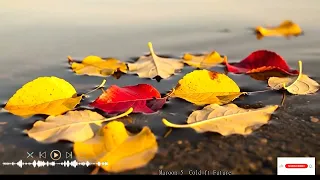 Immersive Chamber Sounds For Quiet Reflections With Beautiful Duets And Refined Ensembles 