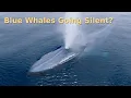 Are Blue Whales Really Going Silent?
