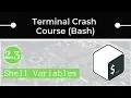 Bash Shell Variables and Aliases and how to set up your PATH variable