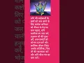 Download Lagu शनि की साढ़े साती उपाय
