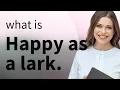 Understanding Idioms Happy as a Lark