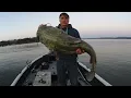 7 Keys To Catch A MONSTER CATFISH Huge Flathead