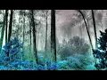$UICIDEBOY$ x GERM - 20TH CENTURION