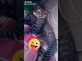 Download Lagu Nak tidur mana