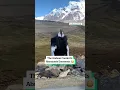 Download Lagu The Andean Condor is absolutely enormous 😳