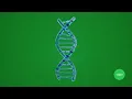 Holographic DNA Double Helix Rotation Green Screen Animation AI Generated