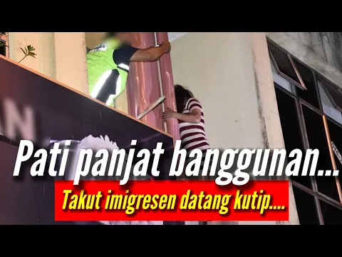 Download MP3 Sanggup Panjat Banggunan Takut Kena Kutip‼️