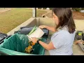 Composting Disposal for Free at Buncombe County Landfill