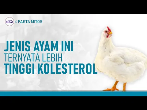 Fakta Nutrisi Ayam Kampung dan Broiler, Mana yang Tinggi Kolesterol?