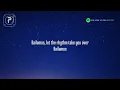 Enrique Iglesias - Bailamos (Lyrics)