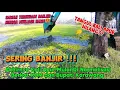 Download Lagu Akhirnya tanggul kali apur yang hilang mulai di normalisasi kembali‼️pantas sawahnya terendam banjir