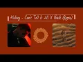 Can't Tell It All X Walk (Remix) - Hulvey