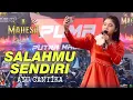 Download Lagu SALAHMU SENDIRI - AYU CANTIKA - MAHESA MUSIC LIVE PUTRA MADUKARA SUKOREJO ULUJAMI PEMALANG