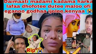 Daimmitii Madami Kadama Harkaa Lafaa Dhufatee Dutee Maloo Ofii Eganoo Godhaa Ijolee Kenyaa  Daimmitii Madami Kadama Harkaa Lafaa Dhufatee Dutee Maloo Ofii Eganoo Godhaa Ijolee Kenyaa